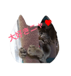 カジこた(カジリン＆小太郎)（個別スタンプ：3）