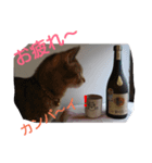 カジこた(カジリン＆小太郎)（個別スタンプ：6）