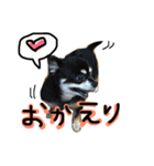 ぽっちゃりチワワクッキー（個別スタンプ：2）