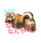 はるちまん！その1（個別スタンプ：3）