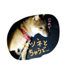 はるちまん！その1（個別スタンプ：8）