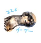 コムグースタンプ（個別スタンプ：30）