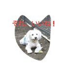 kevicharlo 2（個別スタンプ：4）