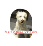 kevicharlo 2（個別スタンプ：6）