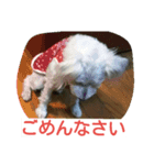 kevicharlo 2（個別スタンプ：8）