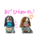 [cavalier]take-teto stamps 4（個別スタンプ：3）