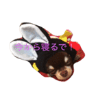 もずかぼスタイル 第1弾（個別スタンプ：2）