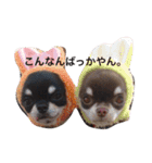 もずかぼスタイル 第1弾（個別スタンプ：4）