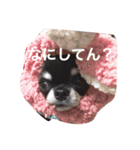 もずかぼスタイル 第1弾（個別スタンプ：7）