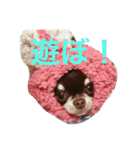 もずかぼスタイル 第1弾（個別スタンプ：8）