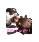 もずかぼスタイル 第1弾（個別スタンプ：9）
