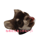 もずかぼスタイル 第1弾（個別スタンプ：11）