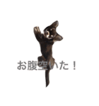 もずかぼスタイル 第1弾（個別スタンプ：13）