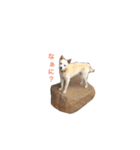 ちょびごろ（個別スタンプ：27）