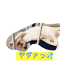 ライス君のひとり言（個別スタンプ：1）