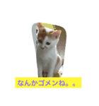 ライス君のひとり言（個別スタンプ：3）