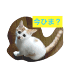 ライス君のひとり言（個別スタンプ：4）