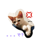ライス君のひとり言（個別スタンプ：5）