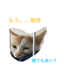 ライス君のひとり言（個別スタンプ：6）