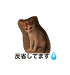 ライス君のひとり言（個別スタンプ：7）