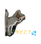 ライス君のひとり言（個別スタンプ：10）