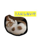 ライス君のひとり言（個別スタンプ：12）