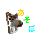 ライス君のひとり言（個別スタンプ：14）