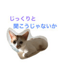 ライス君のひとり言（個別スタンプ：15）