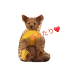 グリちゃまスタンプ2（個別スタンプ：7）
