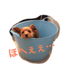 グリちゃまスタンプ2（個別スタンプ：12）