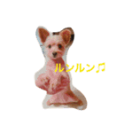 グリちゃまスタンプ2（個別スタンプ：13）