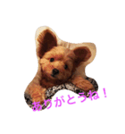 グリちゃまスタンプ2（個別スタンプ：15）
