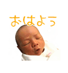 AOISticker（個別スタンプ：1）