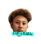 tyousikkoisiterain（個別スタンプ：3）