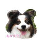 マイハニー1（個別スタンプ：3）