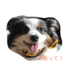 マイハニー1（個別スタンプ：5）