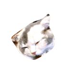 cat456（個別スタンプ：4）