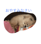 エースのスタンプ（個別スタンプ：1）
