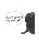 犬の顔−表情–（個別スタンプ：11）
