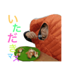 harutoakito（個別スタンプ：12）