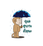 Gaakey monkey（個別スタンプ：4）