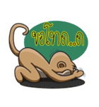 Gaakey monkey（個別スタンプ：6）