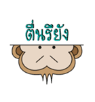 Gaakey monkey（個別スタンプ：32）