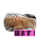キュウタの独り言②（個別スタンプ：17）