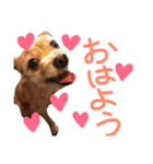 ぴざ＆ぱすた（個別スタンプ：1）