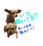 ぴざ＆ぱすた（個別スタンプ：5）