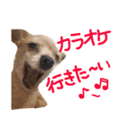 ぴざ＆ぱすた（個別スタンプ：6）