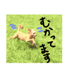 ぴざ＆ぱすた（個別スタンプ：8）