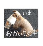 ぴざ＆ぱすた（個別スタンプ：12）