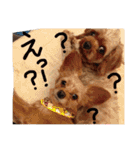 ぴざ＆ぱすた（個別スタンプ：15）